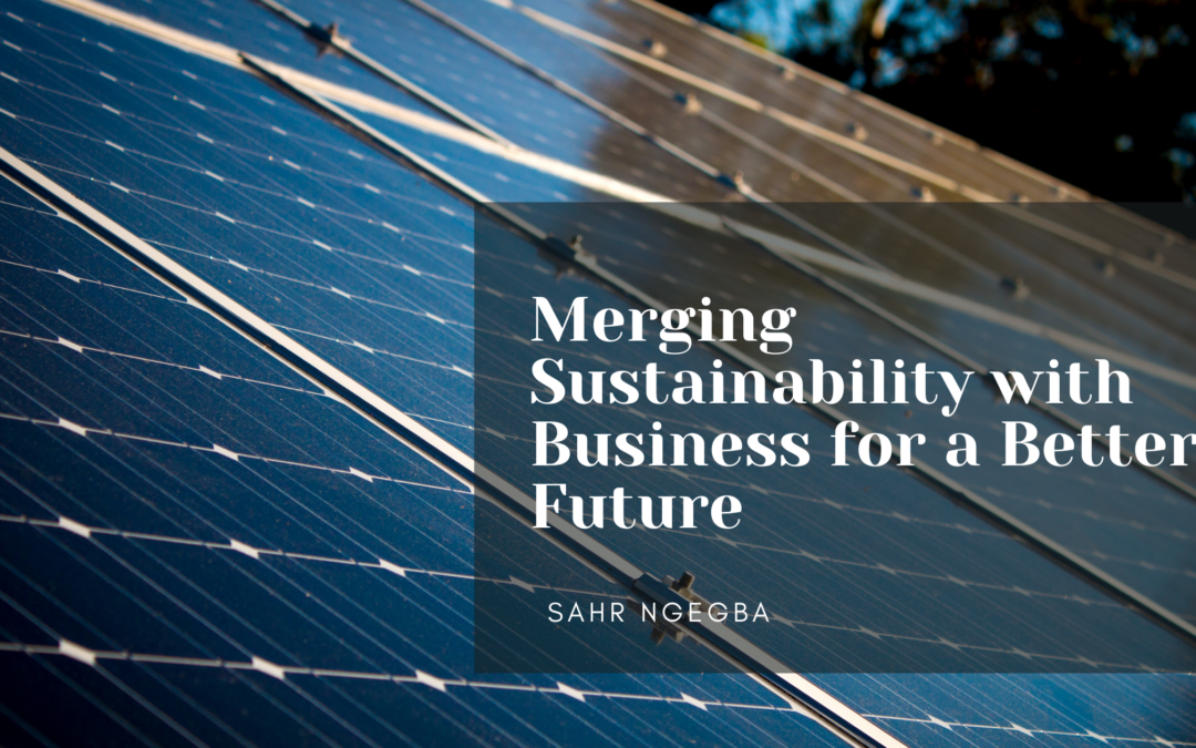 Merging Sustainability with Business for a Better Future