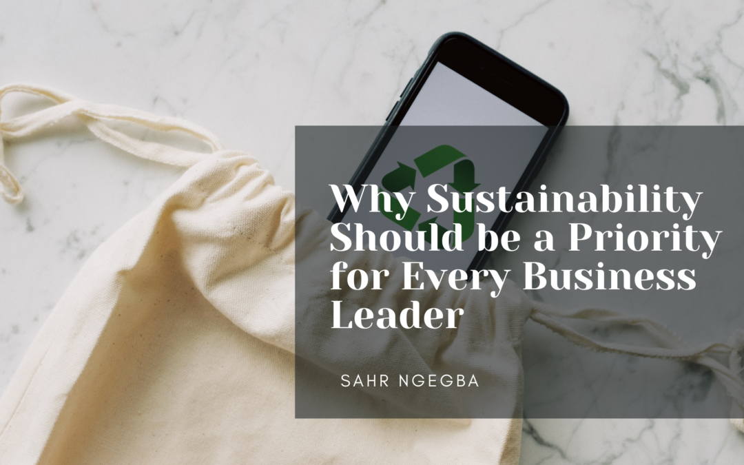 Why Sustainability Should be a Priority for Every Business Leader